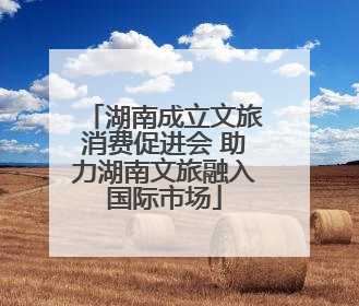 湖南成立文旅消费促进会 助力湖南文旅融入国际市场