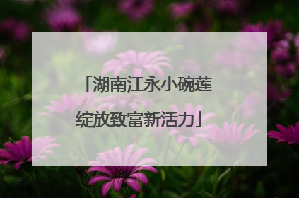 湖南江永小碗莲绽放致富新活力