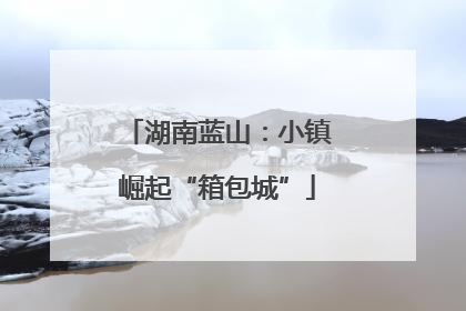 湖南蓝山：小镇崛起“箱包城”