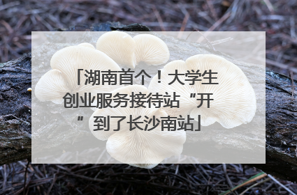 湖南首个！大学生创业服务接待站“开”到了长沙南站