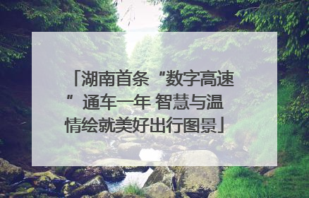 湖南首条“数字高速”通车一年 智慧与温情绘就美好出行图景