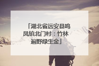 湖北省远安县鸣凤镇北门村：竹林遍野绿生金