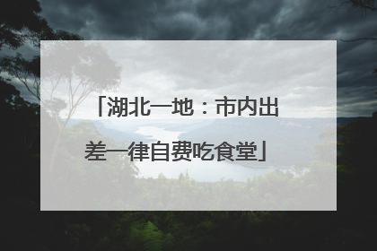 湖北一地：市内出差一律自费吃食堂