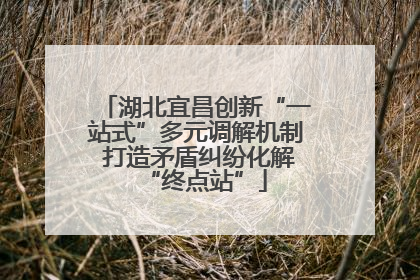湖北宜昌创新“一站式”多元调解机制 打造矛盾纠纷化解“终点站”