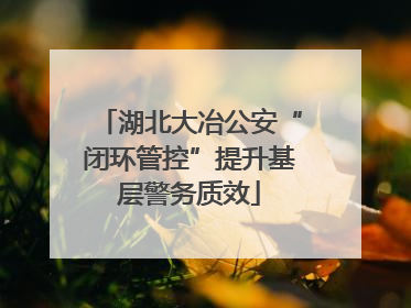 湖北大冶公安“闭环管控”提升基层警务质效