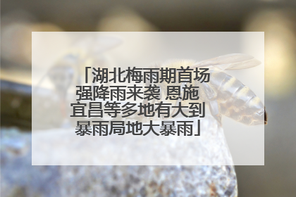 湖北梅雨期首场强降雨来袭 恩施宜昌等多地有大到暴雨局地大暴雨