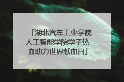湖北汽车工业学院人工智能学院学子热血助力世界献血日