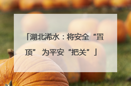 湖北浠水：将安全“置顶” 为平安“把关”
