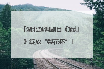 湖北越调剧目《顶灯》绽放“梨花杯”