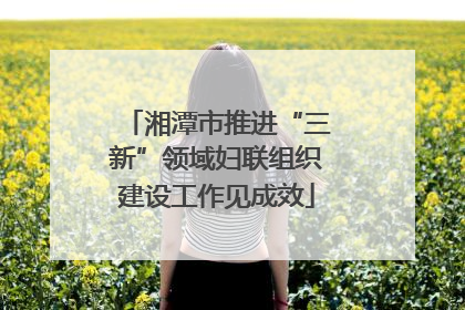 湘潭市推进“三新”领域妇联组织建设工作见成效
