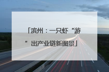 滨州：一只虾“游”出产业链新图景