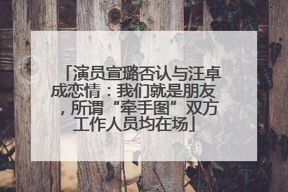 演员宣璐否认与汪卓成恋情：我们就是朋友，所谓“牵手图”双方工作人员均在场