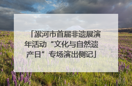 漯河市首届非遗展演年活动“文化与自然遗产日”专场演出侧记