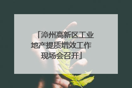 漳州高新区工业地产提质增效工作现场会召开