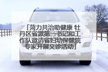 菏力共治助健康 牡丹区省派第一书记和工作队邀请省妇幼保健院专家开展义诊活动