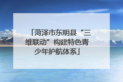 菏泽市东明县“三维联动”构建特色青少年护航体系