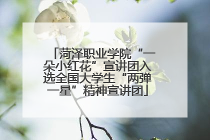 菏泽职业学院“一朵小红花”宣讲团入选全国大学生“两弹一星”精神宣讲团
