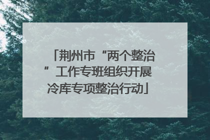 荆州市“两个整治”工作专班组织开展冷库专项整治行动