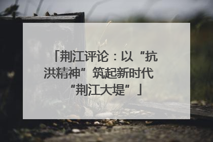 荆江评论：以“抗洪精神”筑起新时代“荆江大堤”