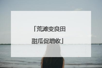 荒滩变良田 甜瓜促增收