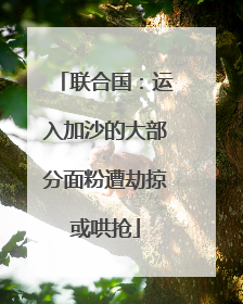 联合国：运入加沙的大部分面粉遭劫掠或哄抢