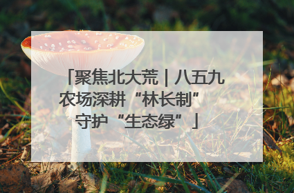 聚焦北大荒｜八五九农场深耕“林长制” 守护“生态绿”