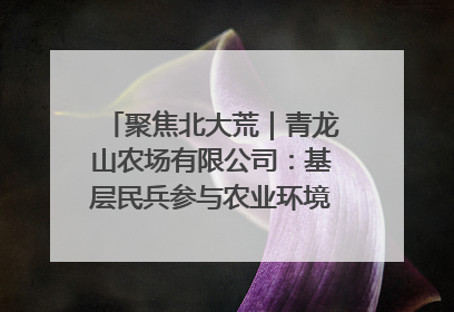 聚焦北大荒｜青龙山农场有限公司：基层民兵参与农业环境综合治理显效
