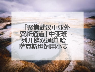 聚焦武汉中亚外贸新通道│中亚班列开辟双通道 哈萨克斯坦饲用小麦将抵鄂