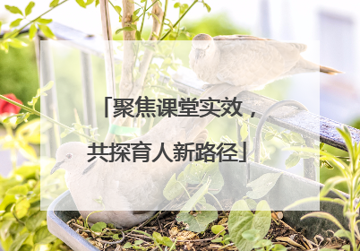 聚焦课堂实效，共探育人新路径