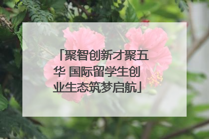 聚智创新才聚五华 国际留学生创业生态筑梦启航