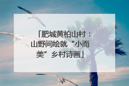 肥城黄柏山村：山野间绘就“小而美”乡村诗画