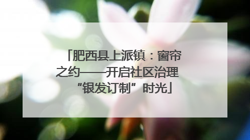 肥西县上派镇：窗帘之约——开启社区治理“银发订制”时光