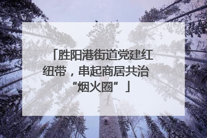 胜阳港街道党建红纽带，串起商居共治 “烟火圈”
