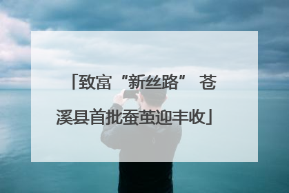 致富“新丝路” 苍溪县首批蚕茧迎丰收