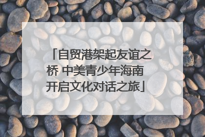 自贸港架起友谊之桥 中美青少年海南开启文化对话之旅