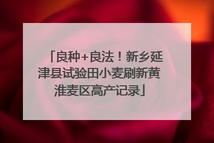 良种+良法！新乡延津县试验田小麦刷新黄淮麦区高产记录