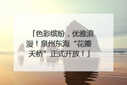 色彩缤纷，优雅浪漫！泉州东海“花瓣天桥”正式开放！