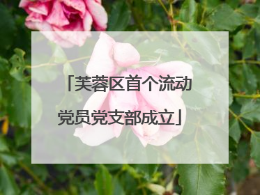 芙蓉区首个流动党员党支部成立