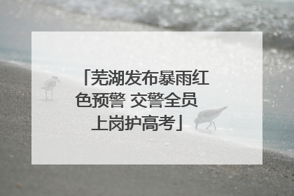 芜湖发布暴雨红色预警 交警全员上岗护高考