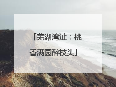 芜湖湾沚：桃香满园醉枝头