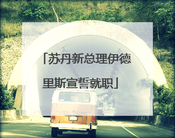 苏丹新总理伊德里斯宣誓就职