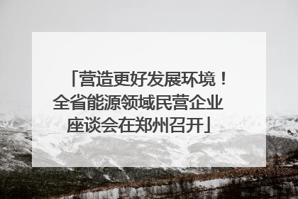 营造更好发展环境！全省能源领域民营企业座谈会在郑州召开