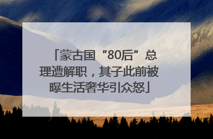 蒙古国“80后”总理遭解职，其子此前被曝生活奢华引众怒