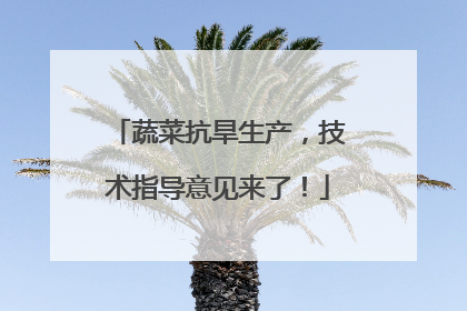蔬菜抗旱生产，技术指导意见来了！