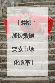 薛刚：加快数据要素市场化改革