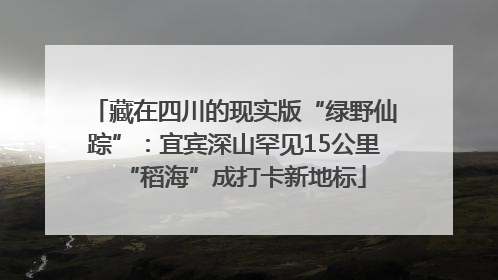 藏在四川的现实版“绿野仙踪”：宜宾深山罕见15公里“稻海”成打卡新地标