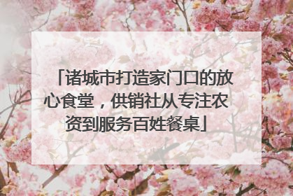 诸城市打造家门口的放心食堂，供销社从专注农资到服务百姓餐桌