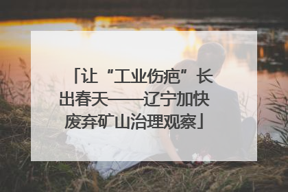 让“工业伤疤”长出春天——辽宁加快废弃矿山治理观察