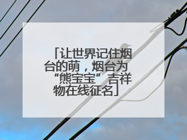 让世界记住烟台的萌，烟台为“熊宝宝”吉祥物在线征名