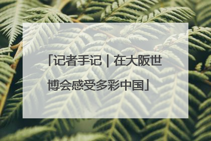 记者手记｜在大阪世博会感受多彩中国